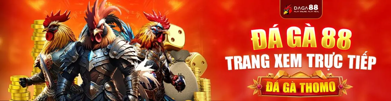 Chương trình VIP và phần thưởng độc quyền